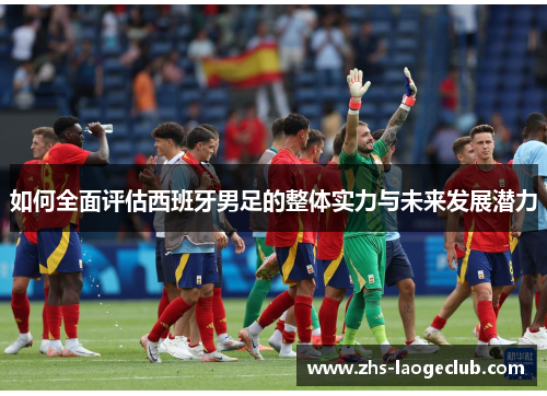 如何全面评估西班牙男足的整体实力与未来发展潜力