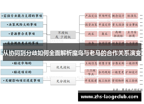 从协同到分歧如何全面解析魔鸟与老马的合作关系演变