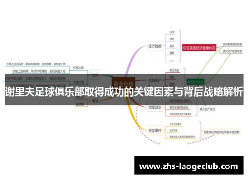 谢里夫足球俱乐部取得成功的关键因素与背后战略解析